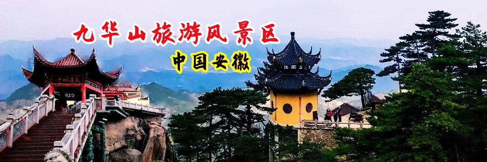 鸡吧插入视频