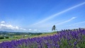 想操逼视频日本一地6日游  境外旅游 6880元/人