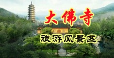 想让大鸡巴透逼视频网站中国浙江-新昌大佛寺旅游风景区